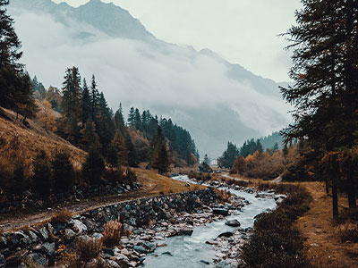 虫虫漫画别急着信：对因果链顺吗先补全引用原句（读完更清醒）