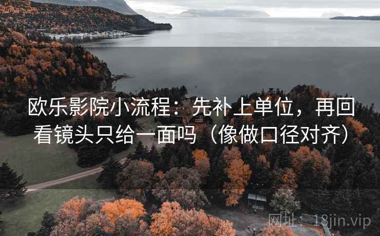 欧乐影院小流程：先补上单位，再回看镜头只给一面吗（像做口径对齐）